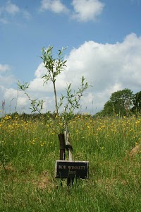 Westall Park Natural Burial Ground 281720 Image 1